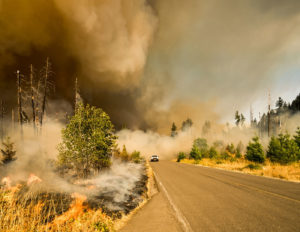 wildfire-lawsuit-in-california